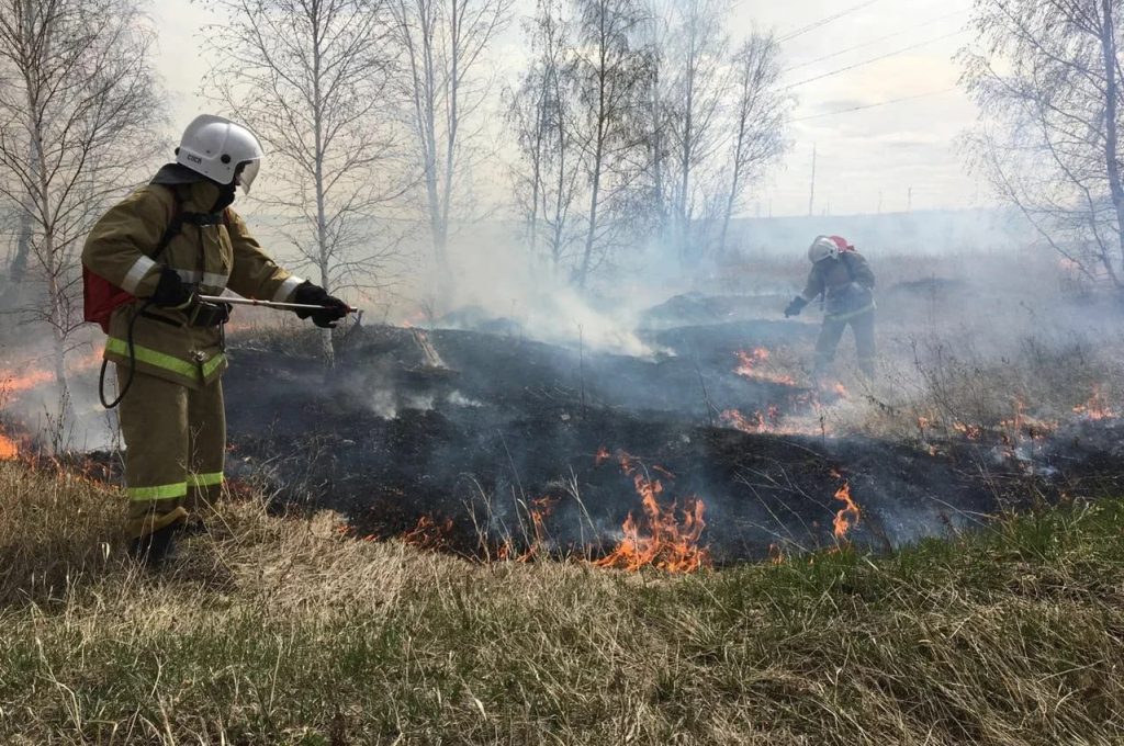 photo_2025-11-07_10-43-55